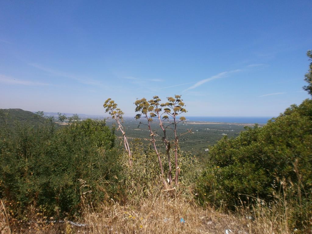 Trullo Villa Giuliana Con Giardino Posizione Panoramica Free Wifi Ostuni Zimmer foto